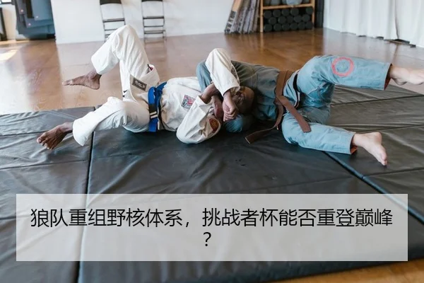 lang-dui-chong-zu-ye-he-ti-xi-tiao-zhan-zhe-bei-neng-fou-zhong-deng-dian-feng-2-711.jpg